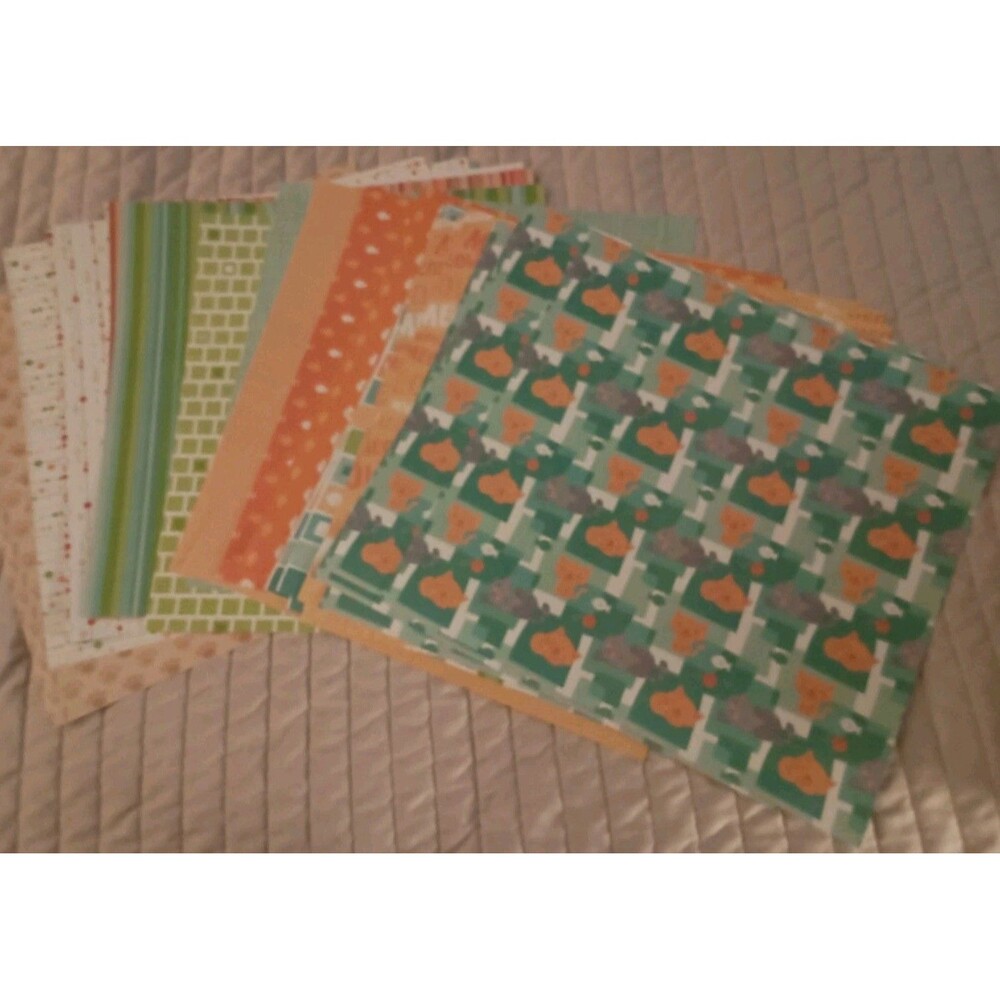 Cat Animal Pet  Scrapbook Paper  12x12 Paper 30 Sheets